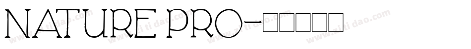 Nature Pro字体转换